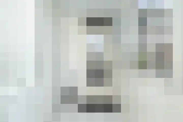Roerdomplaan 97 Hoogeveen thumbnail 17