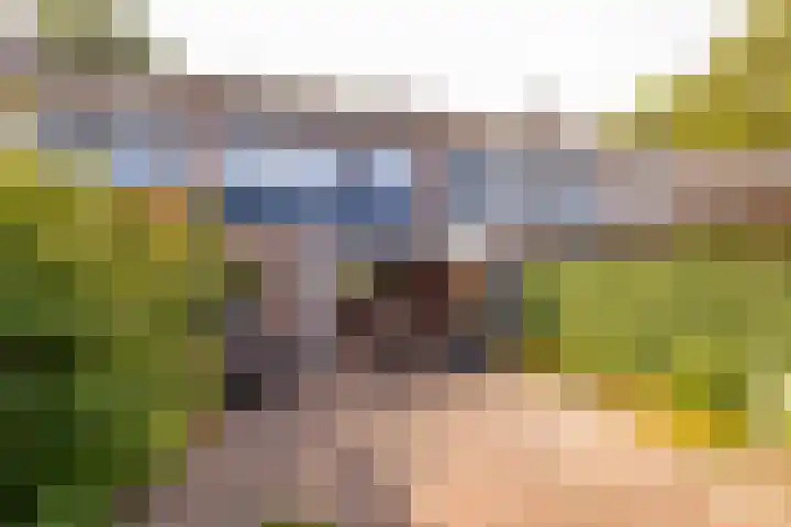 Roerdomplaan 97 Hoogeveen thumbnail 37
