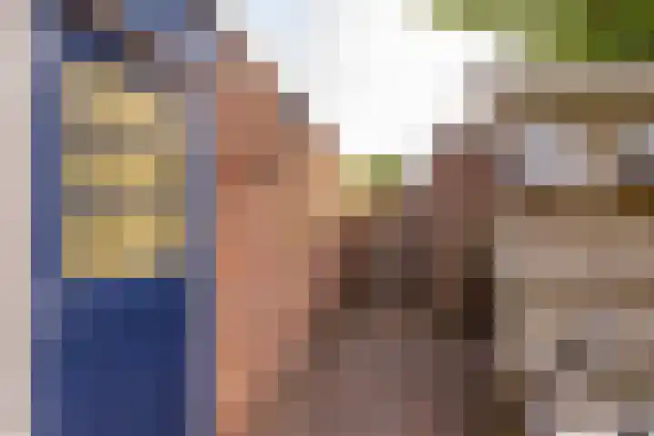 Roerdomplaan 97 Hoogeveen thumbnail 45