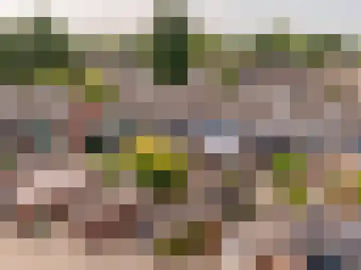 Roerdomplaan 97 Hoogeveen thumbnail 5