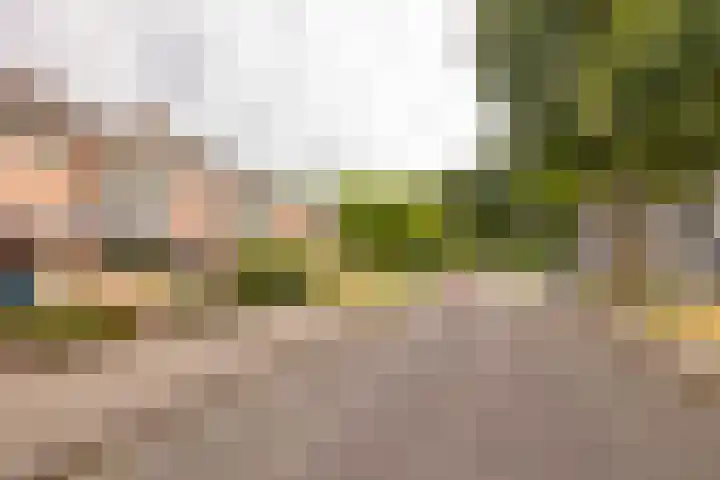 Roerdomplaan 97 Hoogeveen thumbnail 52