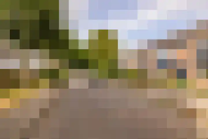 Roerdomplaan 97 Hoogeveen thumbnail 53