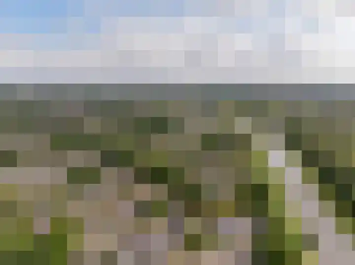 Roerdomplaan 97 Hoogeveen thumbnail 54