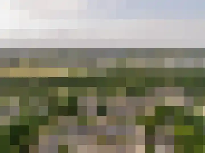 Roerdomplaan 97 Hoogeveen thumbnail 55