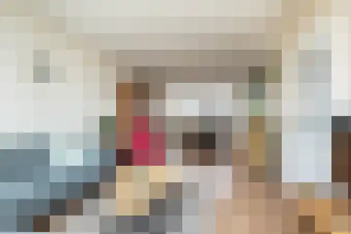 Roerdomplaan 97 Hoogeveen thumbnail 9