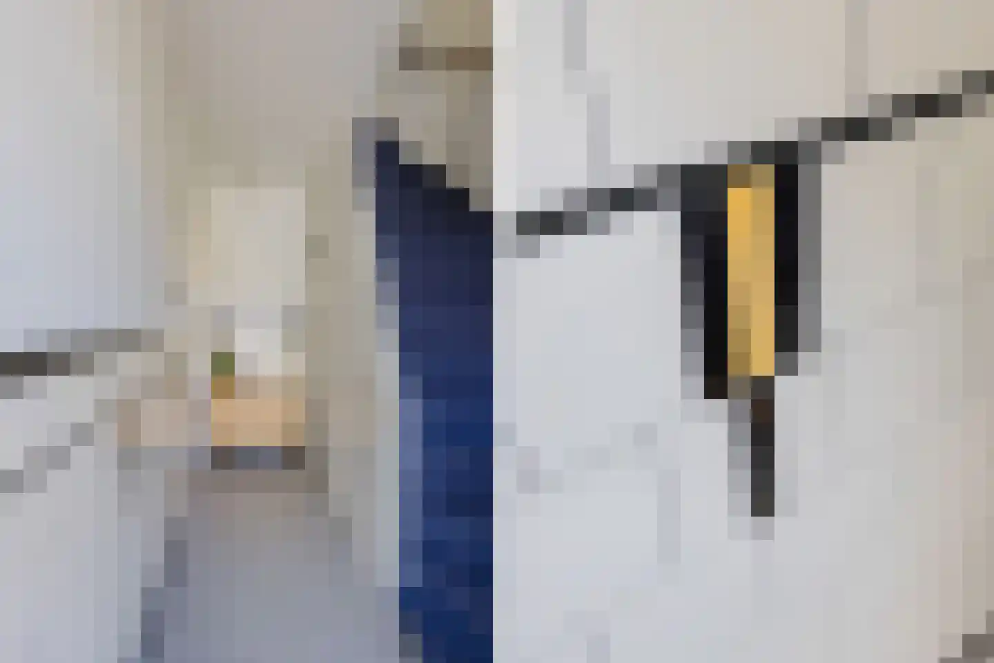 Roerdompplein 10 Haarlem thumbnail 7