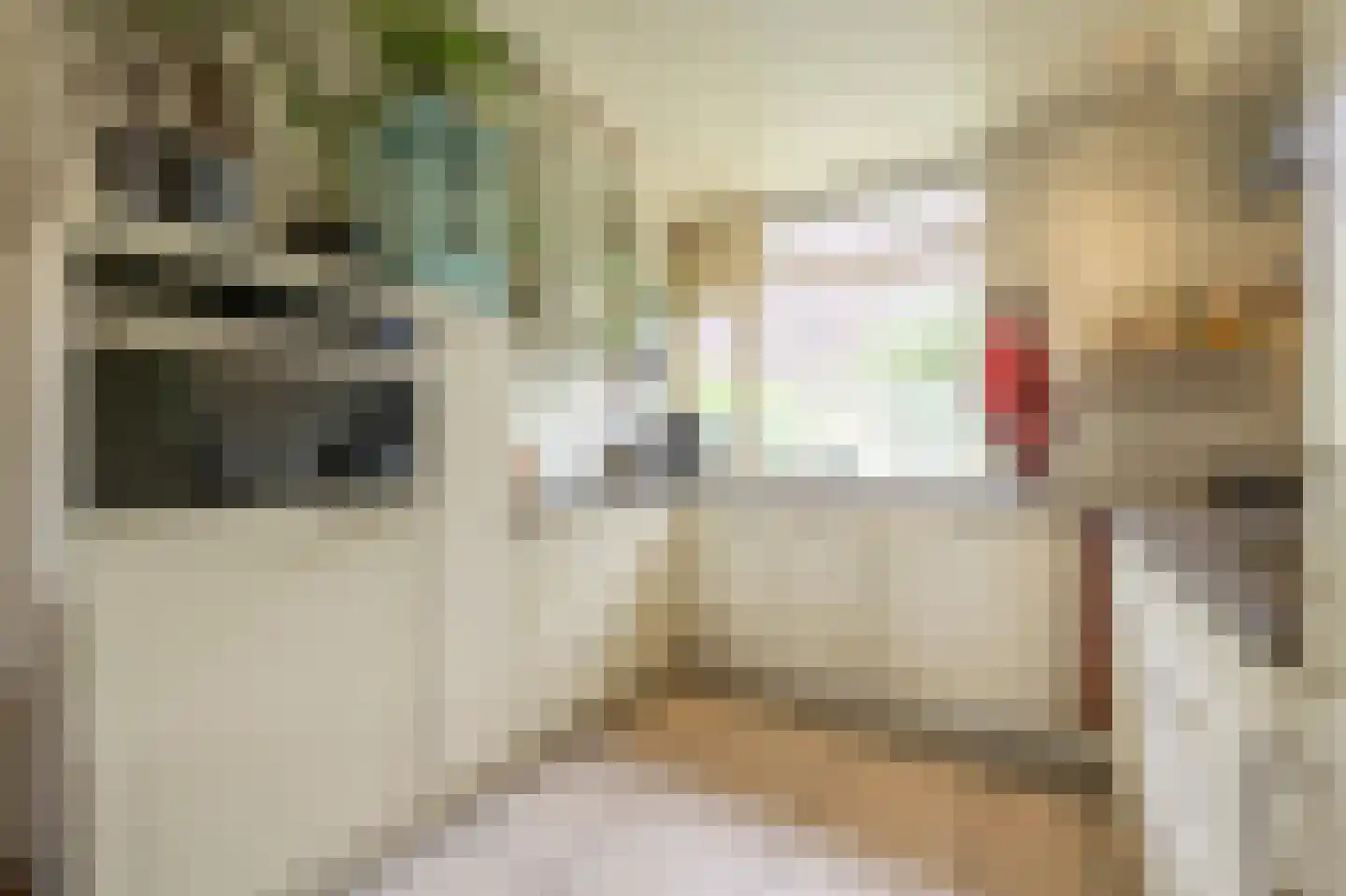 Roerdompsingel 64 Numansdorp thumbnail 10
