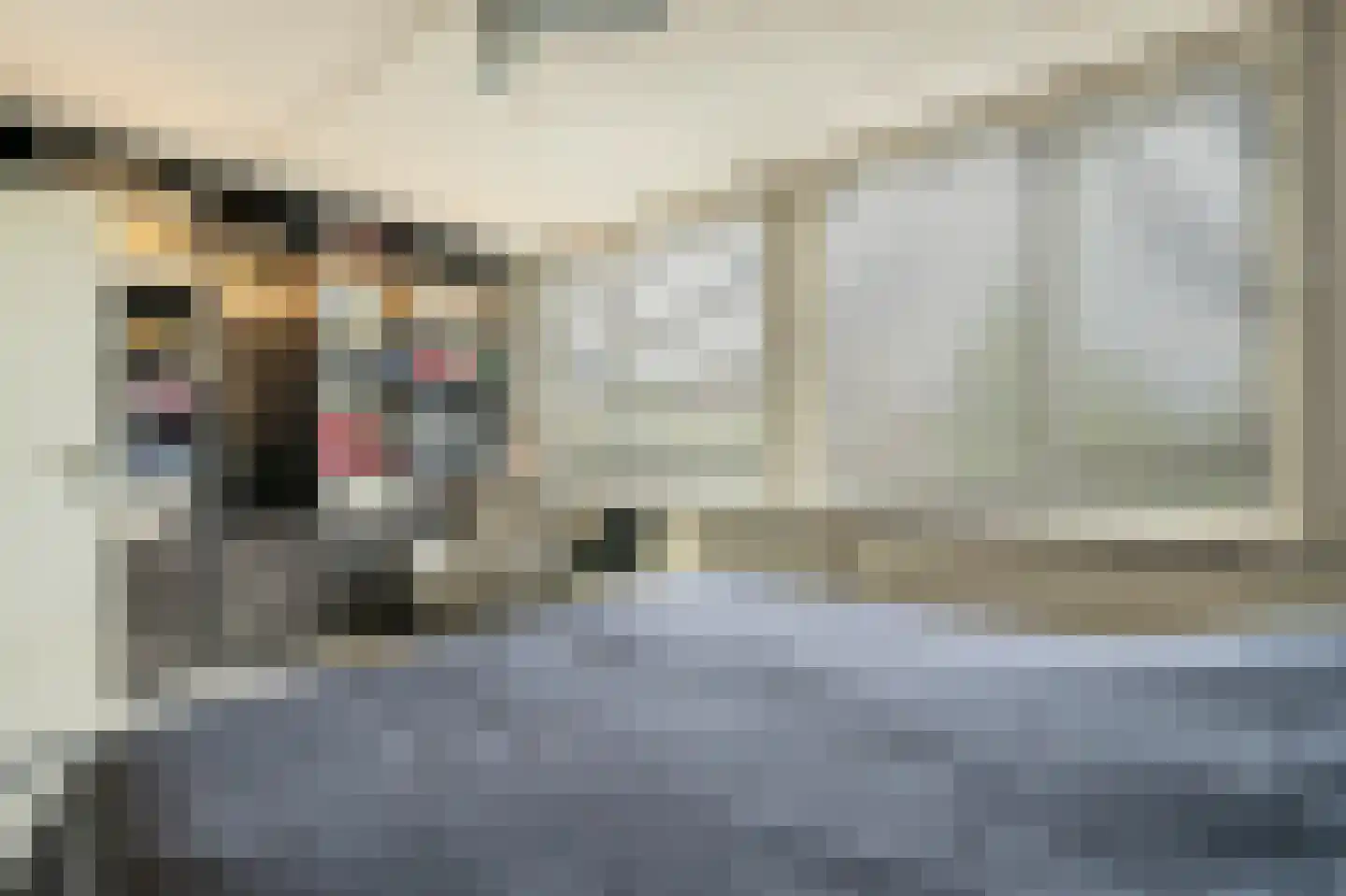 Roerdompsingel 64 Numansdorp thumbnail 14