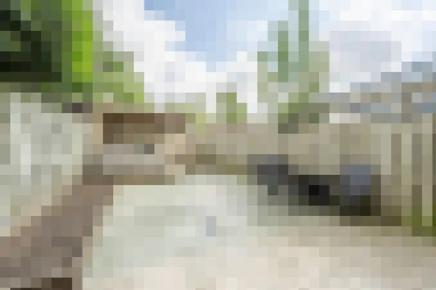 Roerdompsingel 64 Numansdorp thumbnail 22