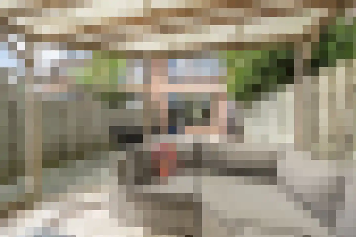 Roerdompsingel 64 Numansdorp thumbnail 23
