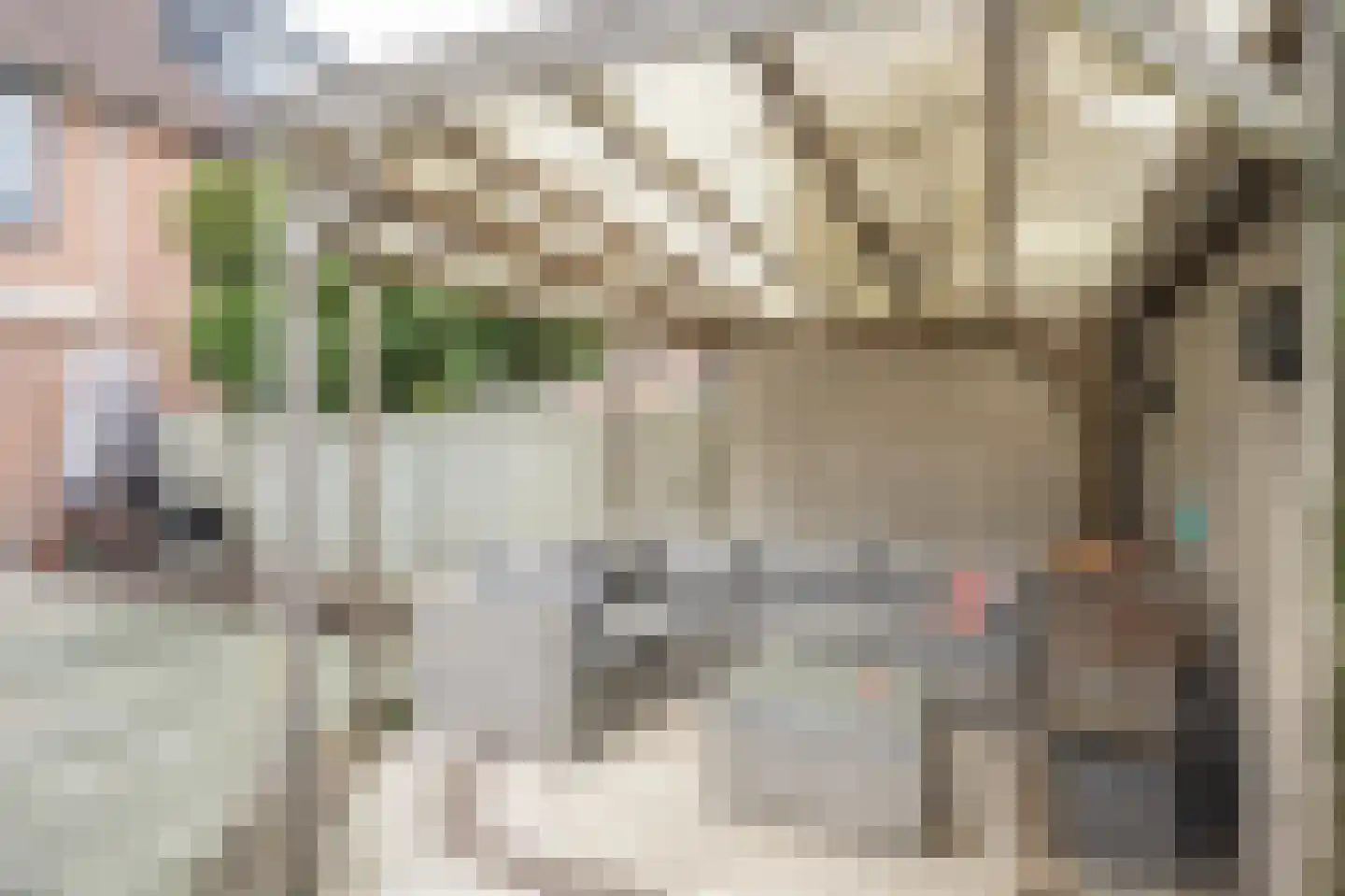 Roerdompsingel 64 Numansdorp thumbnail 24