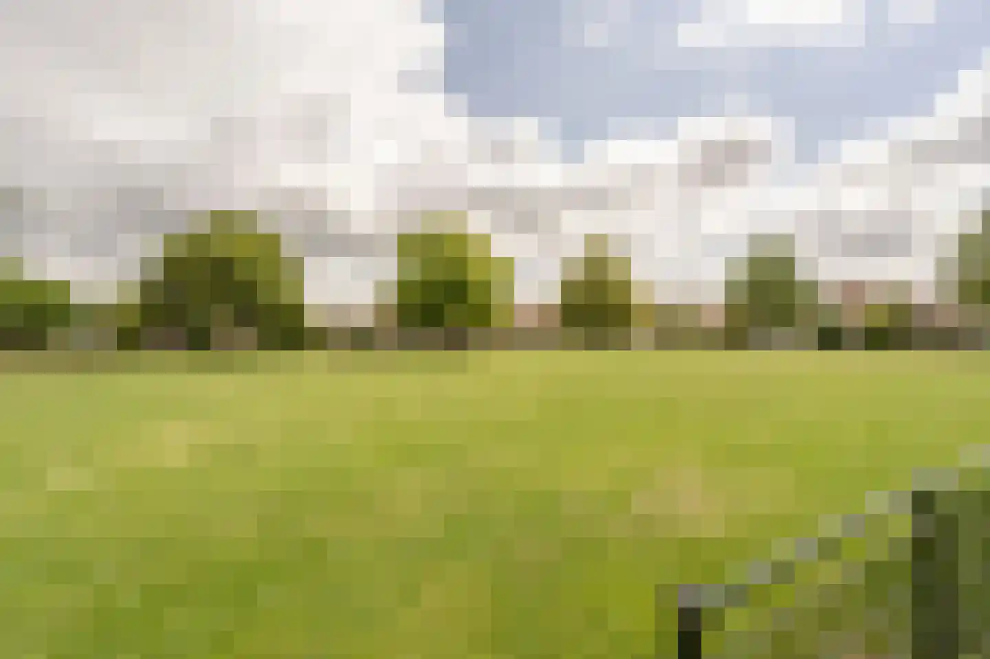 Roerdompsingel 64 Numansdorp thumbnail 27