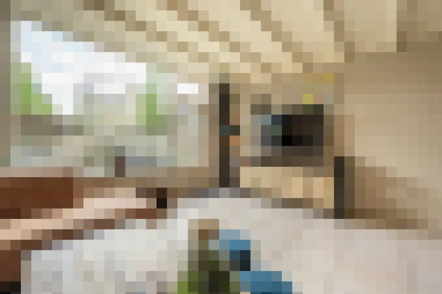 Roerdompsingel 64 Numansdorp thumbnail 5