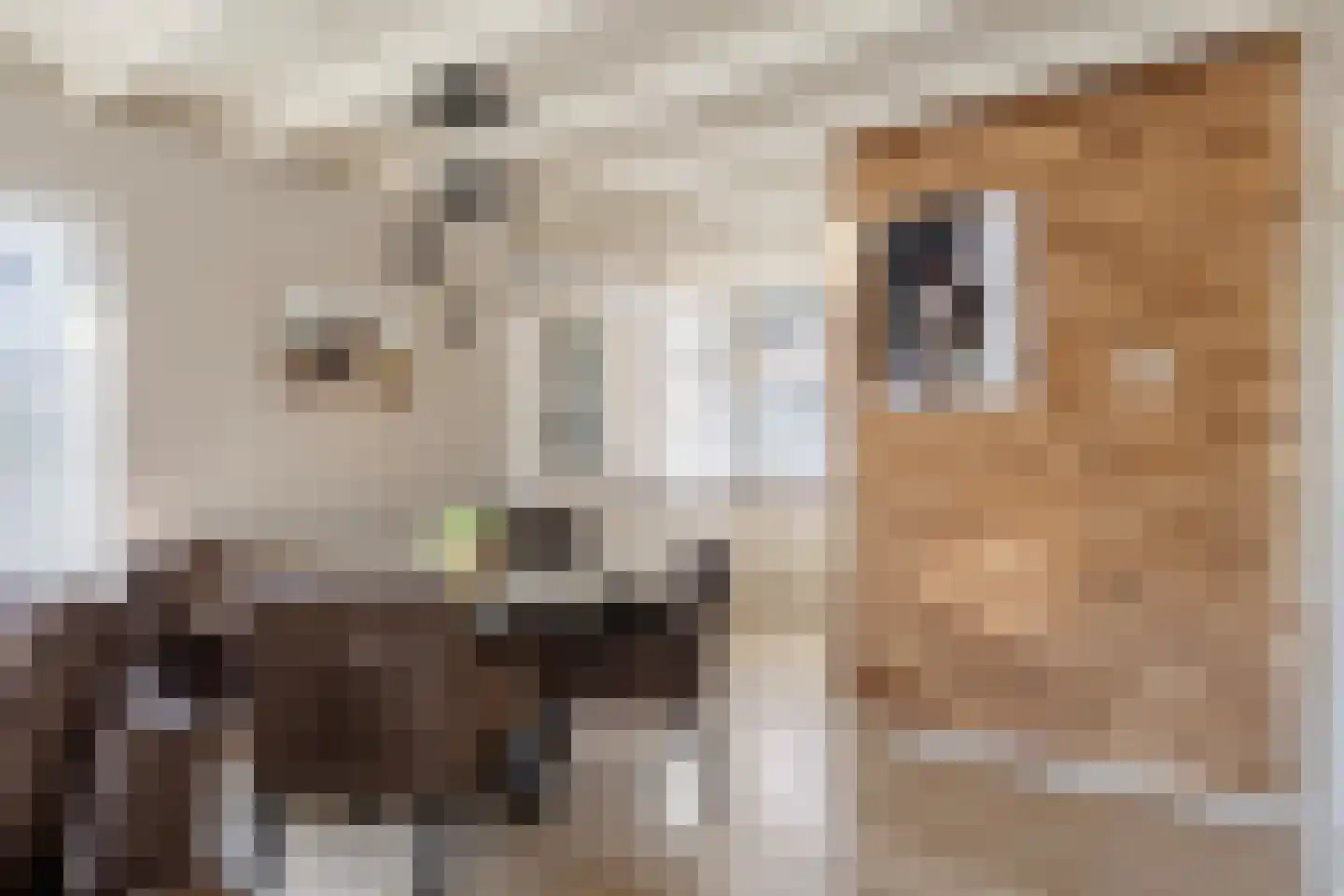 Roerdompsingel 68 Numansdorp thumbnail 11