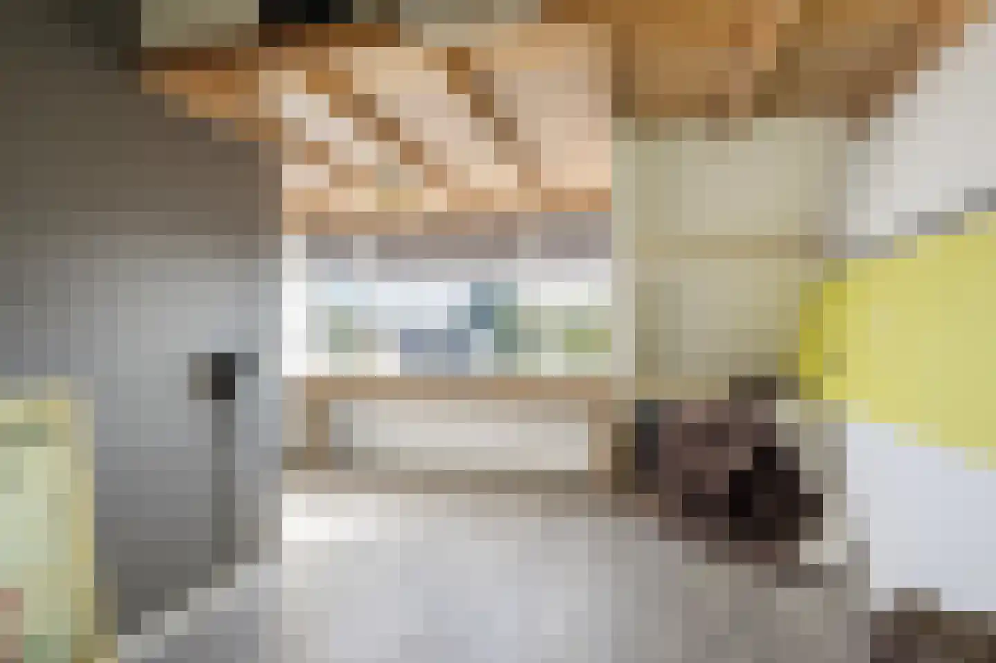 Roerdompsingel 68 Numansdorp thumbnail 25