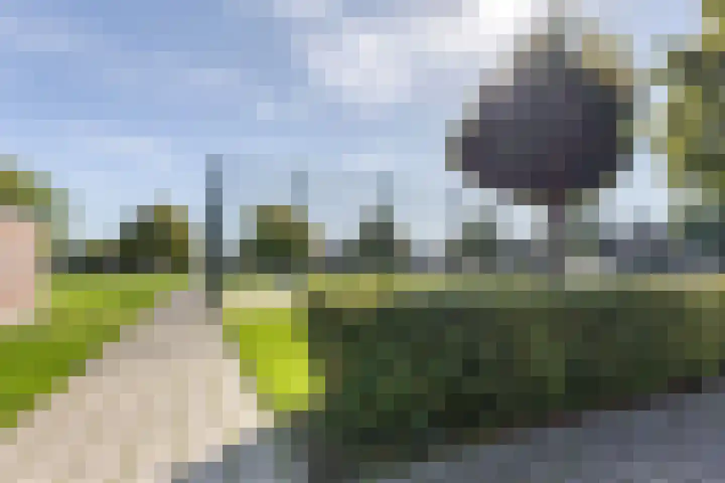 Roerdompsingel 68 Numansdorp thumbnail 30