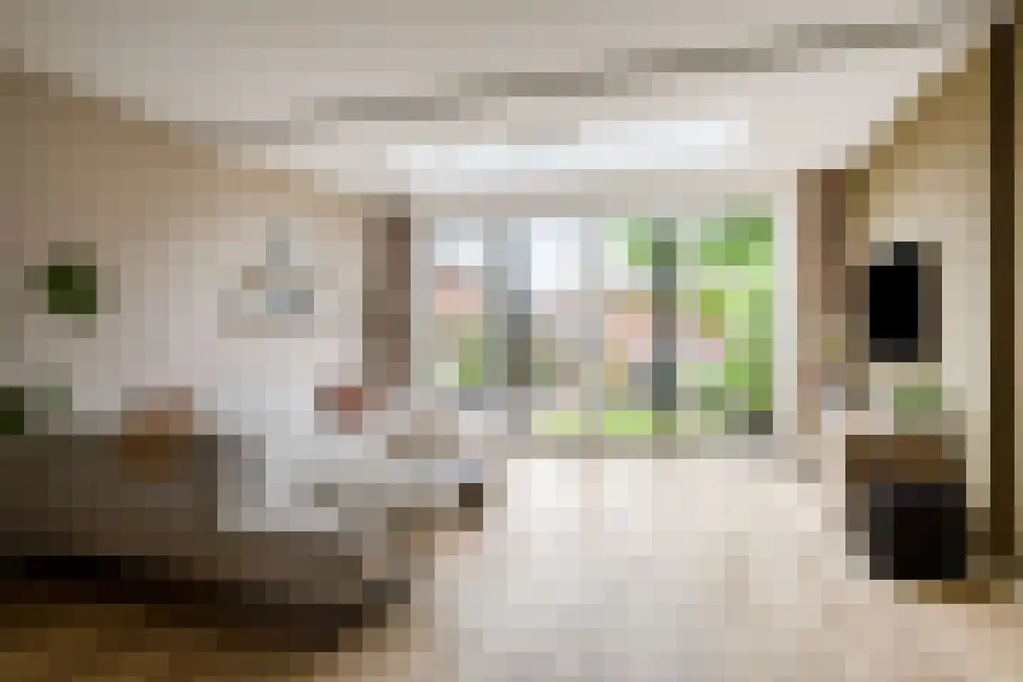 Roerdompsingel 95 Numansdorp thumbnail 10