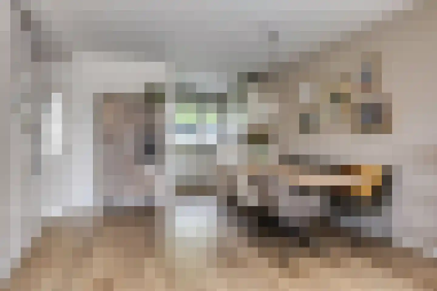 Roerdompsingel 95 Numansdorp thumbnail 17