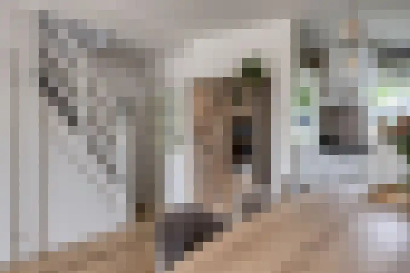 Roerdompsingel 95 Numansdorp thumbnail 18