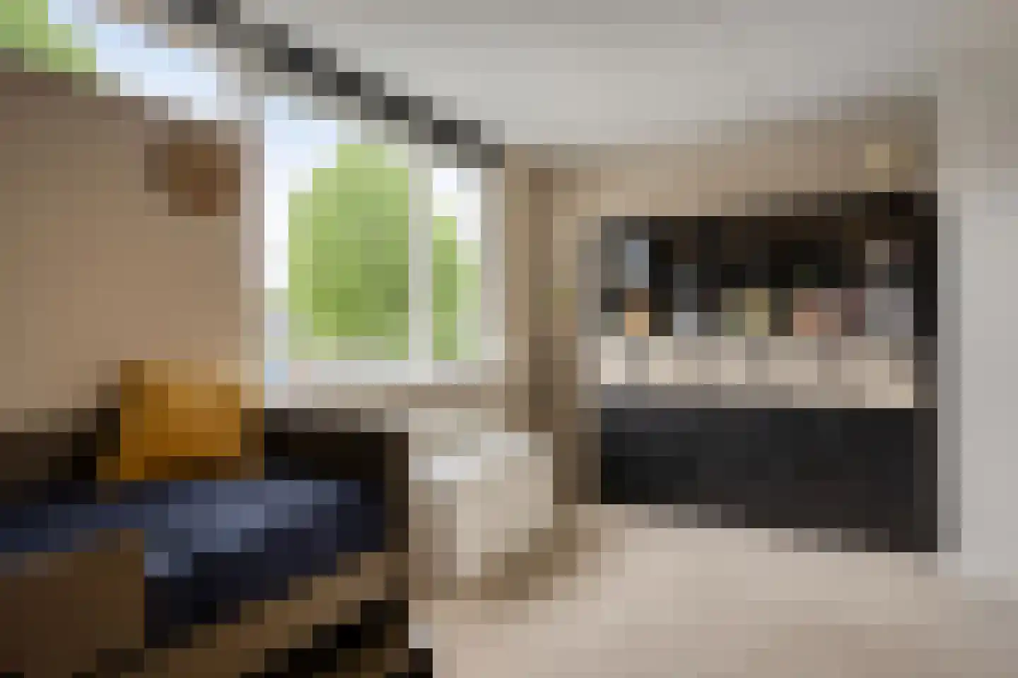 Roerdompsingel 95 Numansdorp thumbnail 35
