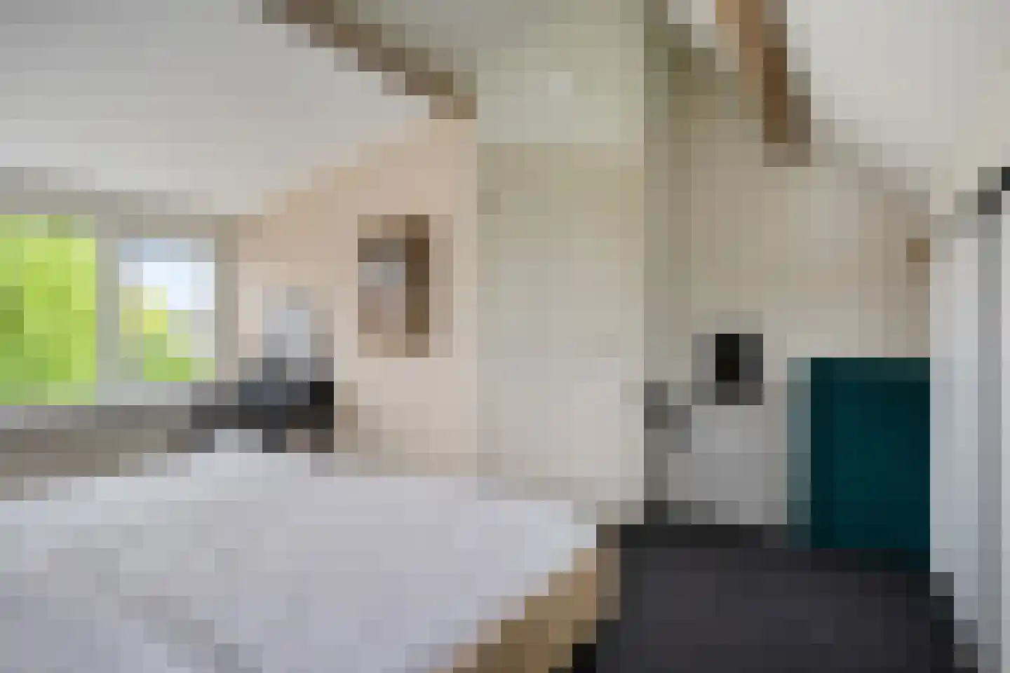 Roerdompsingel 95 Numansdorp thumbnail 39