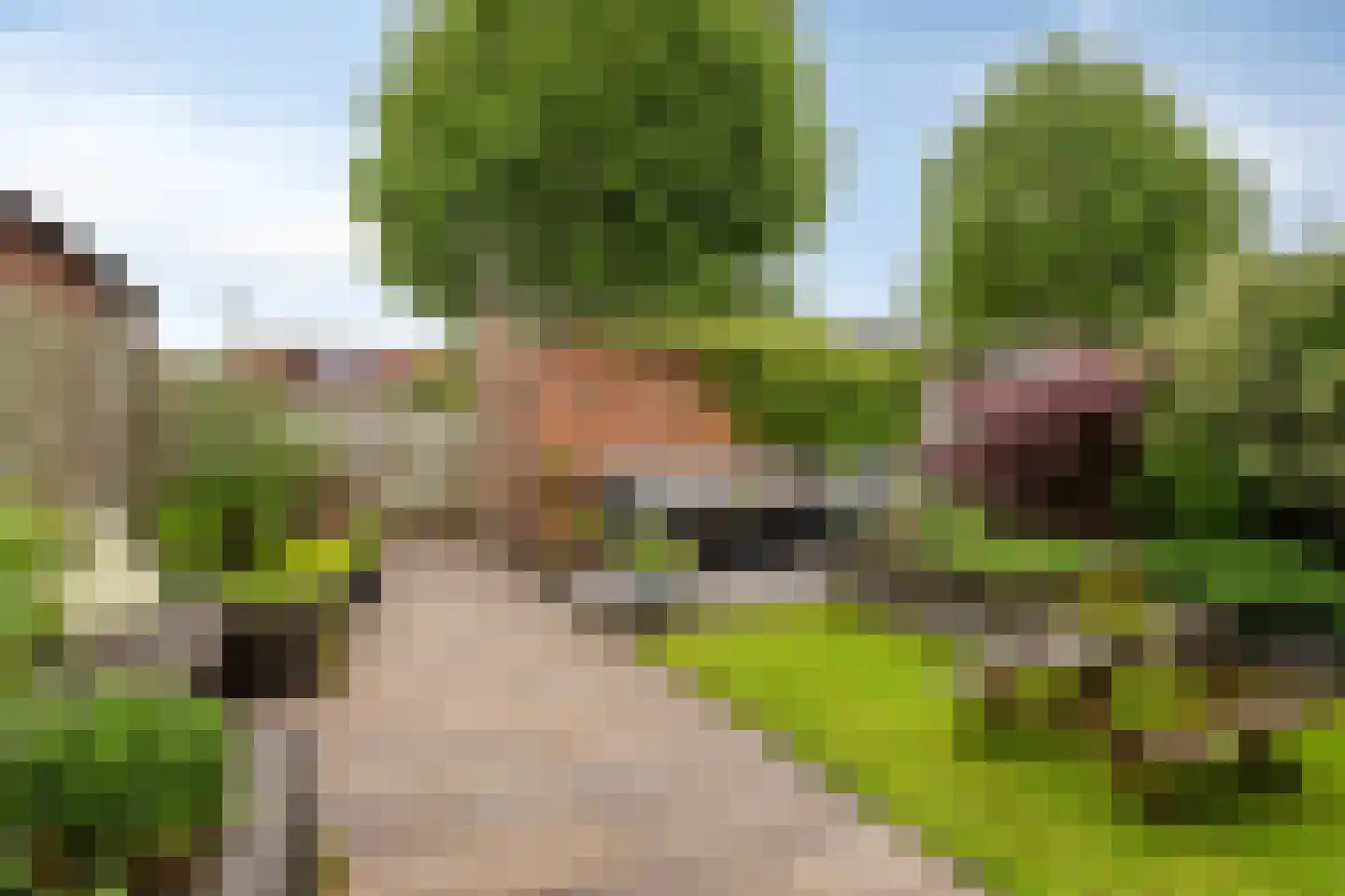 Roerdompsingel 95 Numansdorp thumbnail 41