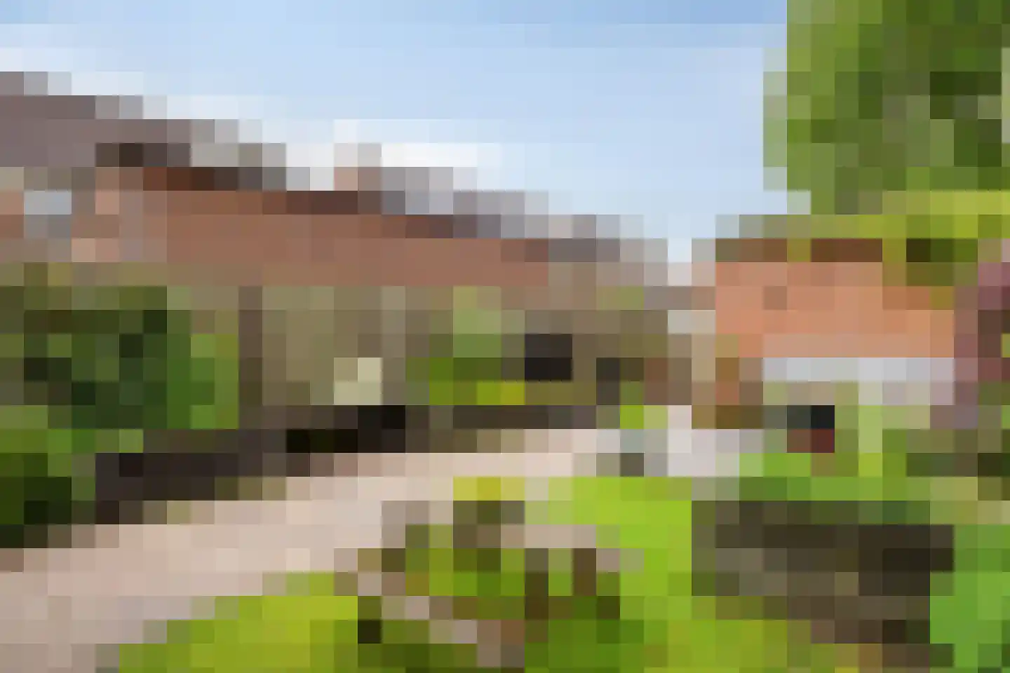 Roerdompsingel 95 Numansdorp thumbnail 46