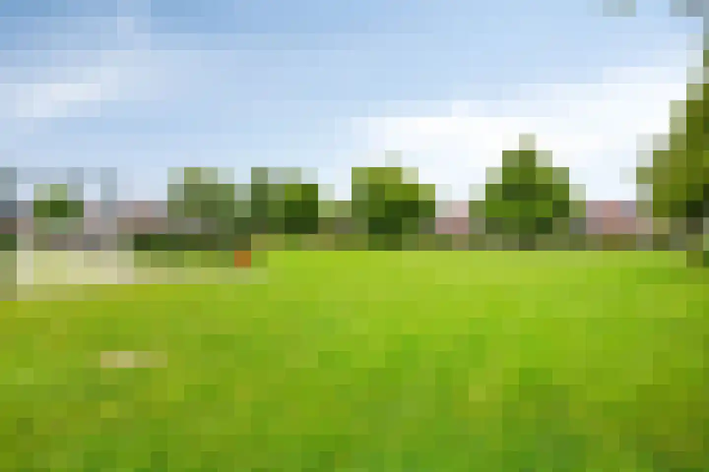 Roerdompsingel 95 Numansdorp thumbnail 48