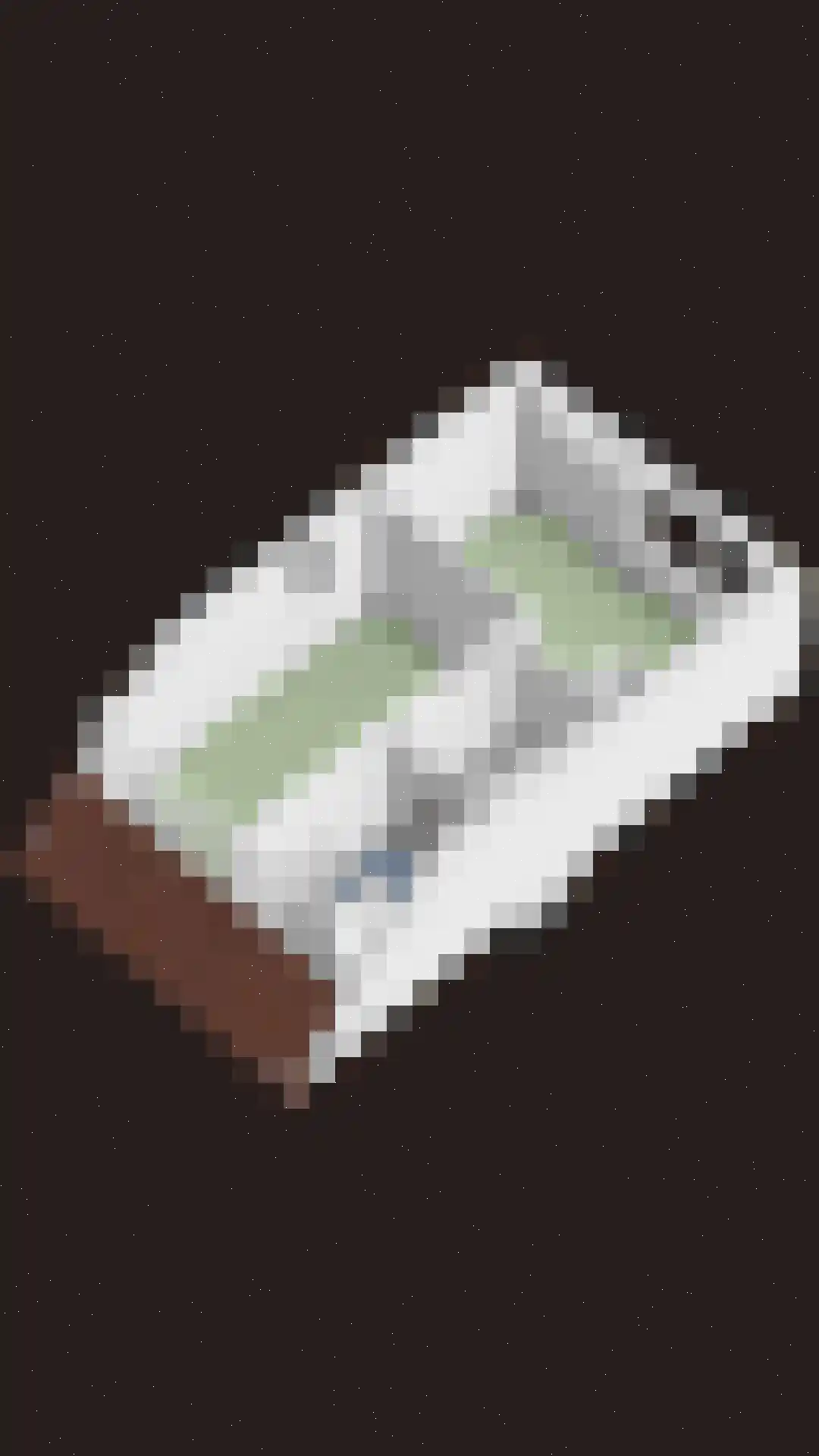 Roerdompsingel 95 Numansdorp thumbnail 55