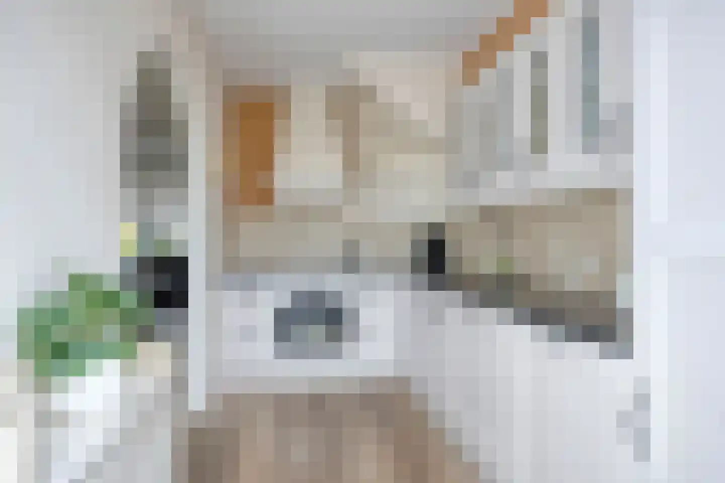 Roerdompstraat 10 Alkmaar thumbnail 19