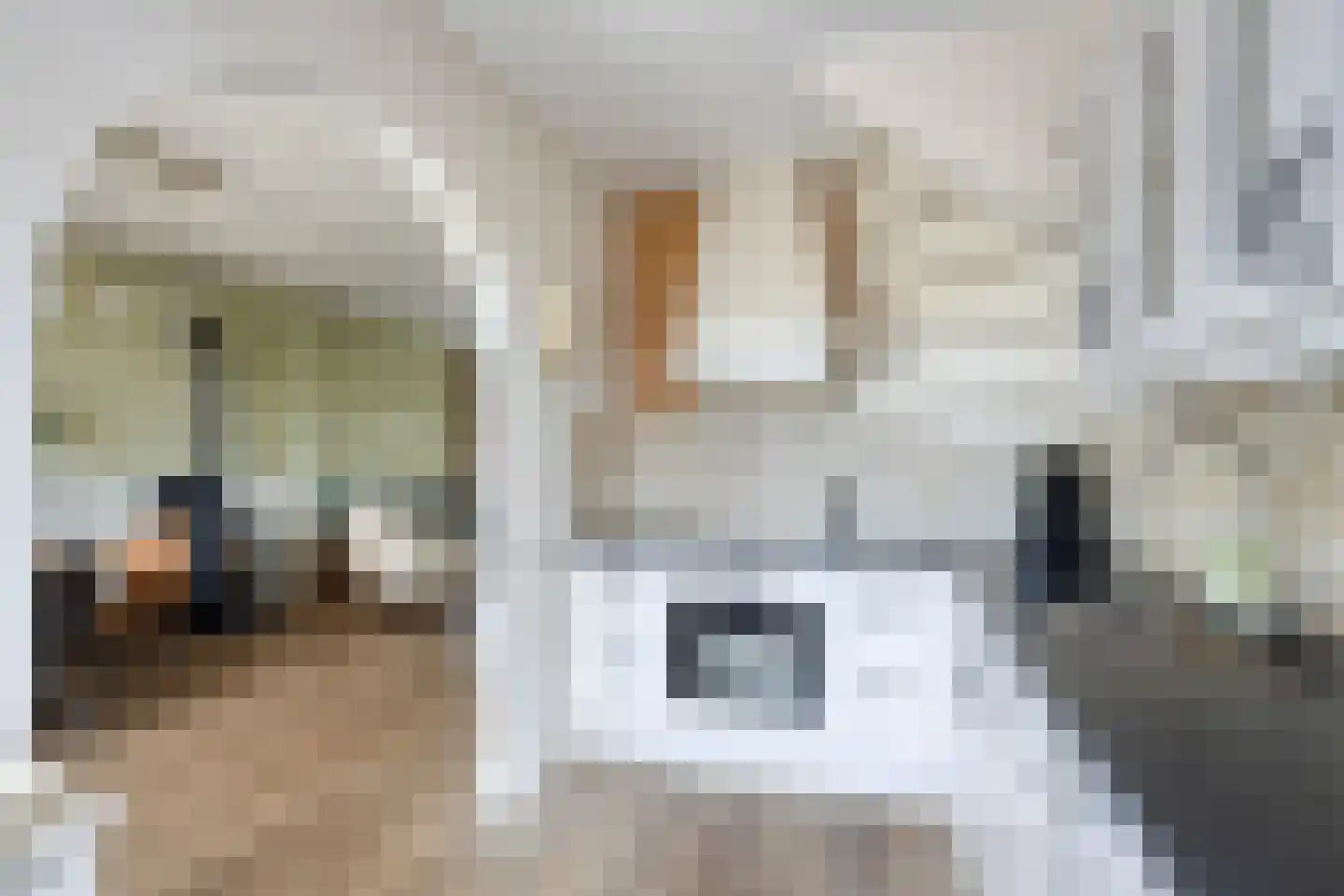 Roerdompstraat 10 Alkmaar thumbnail 20