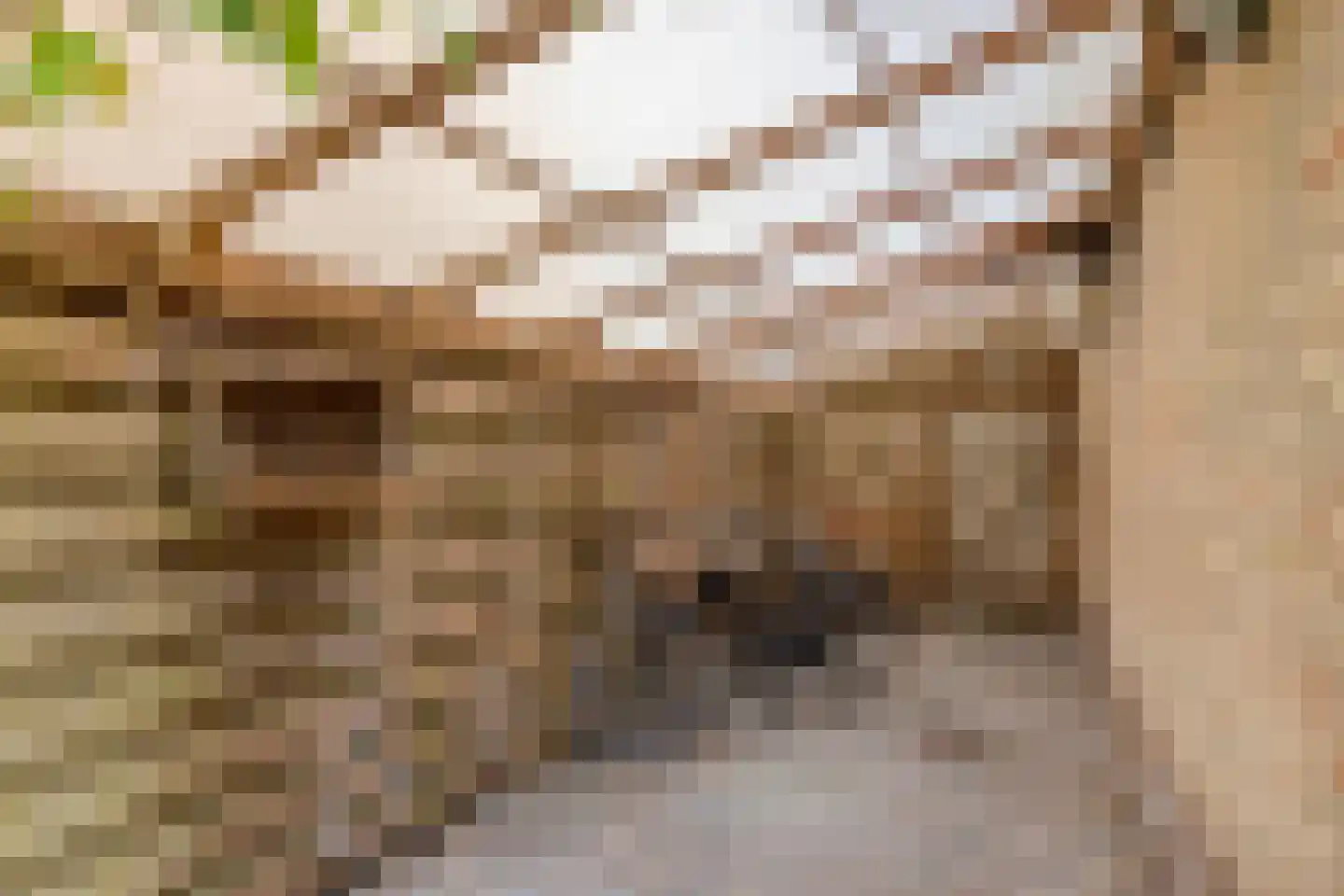 Roerdompstraat 10 Alkmaar thumbnail 42