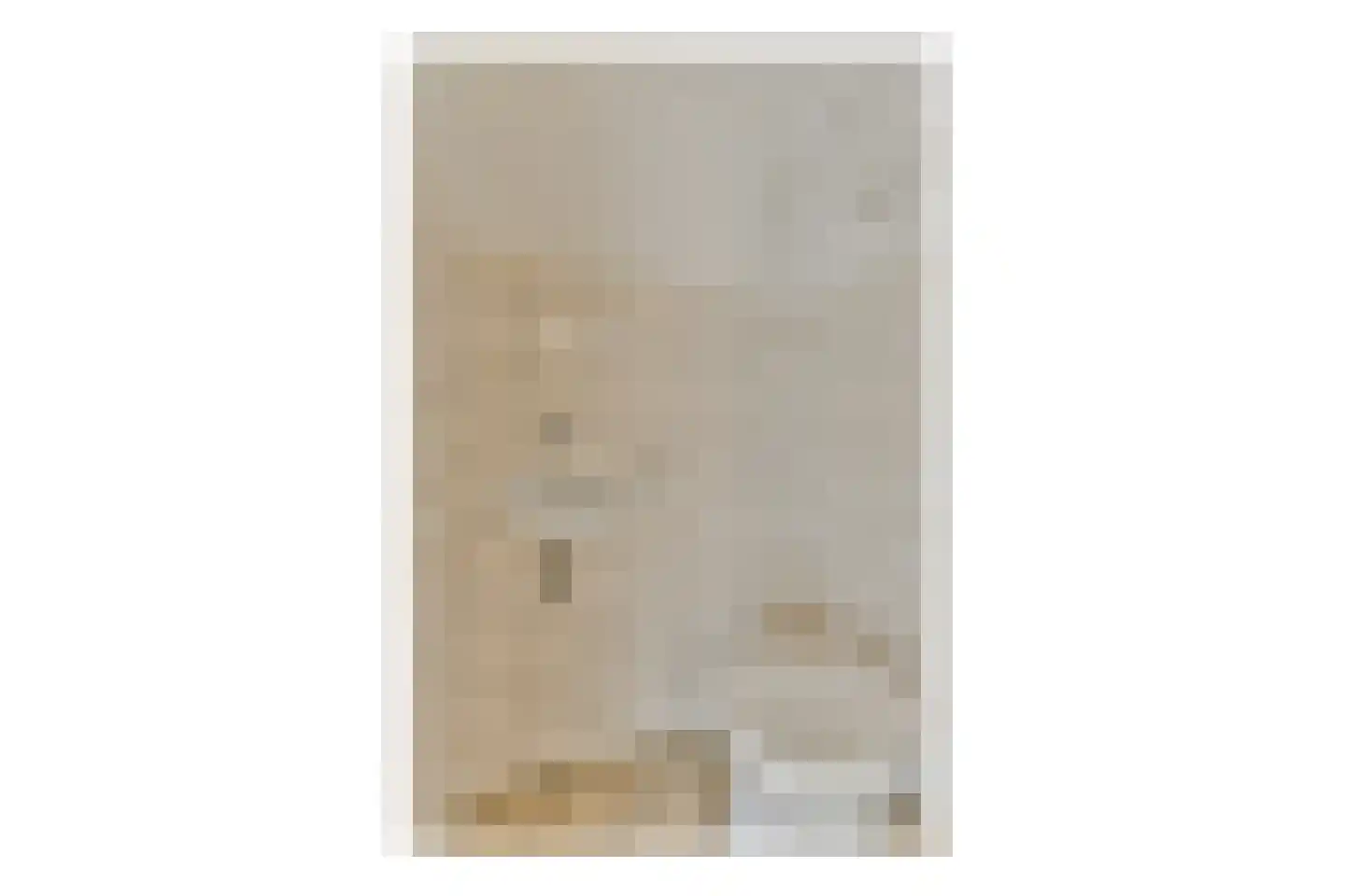 Roerdompstraat 12 Leiderdorp thumbnail 11