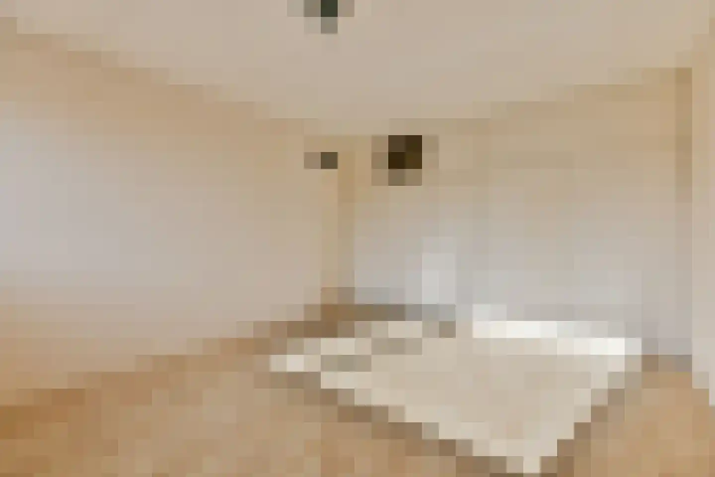 Roerdompstraat 12 Leiderdorp thumbnail 14