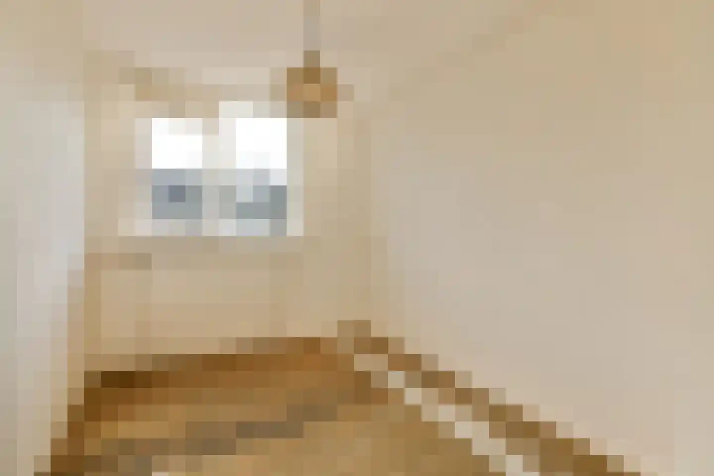 Roerdompstraat 12 Leiderdorp thumbnail 17