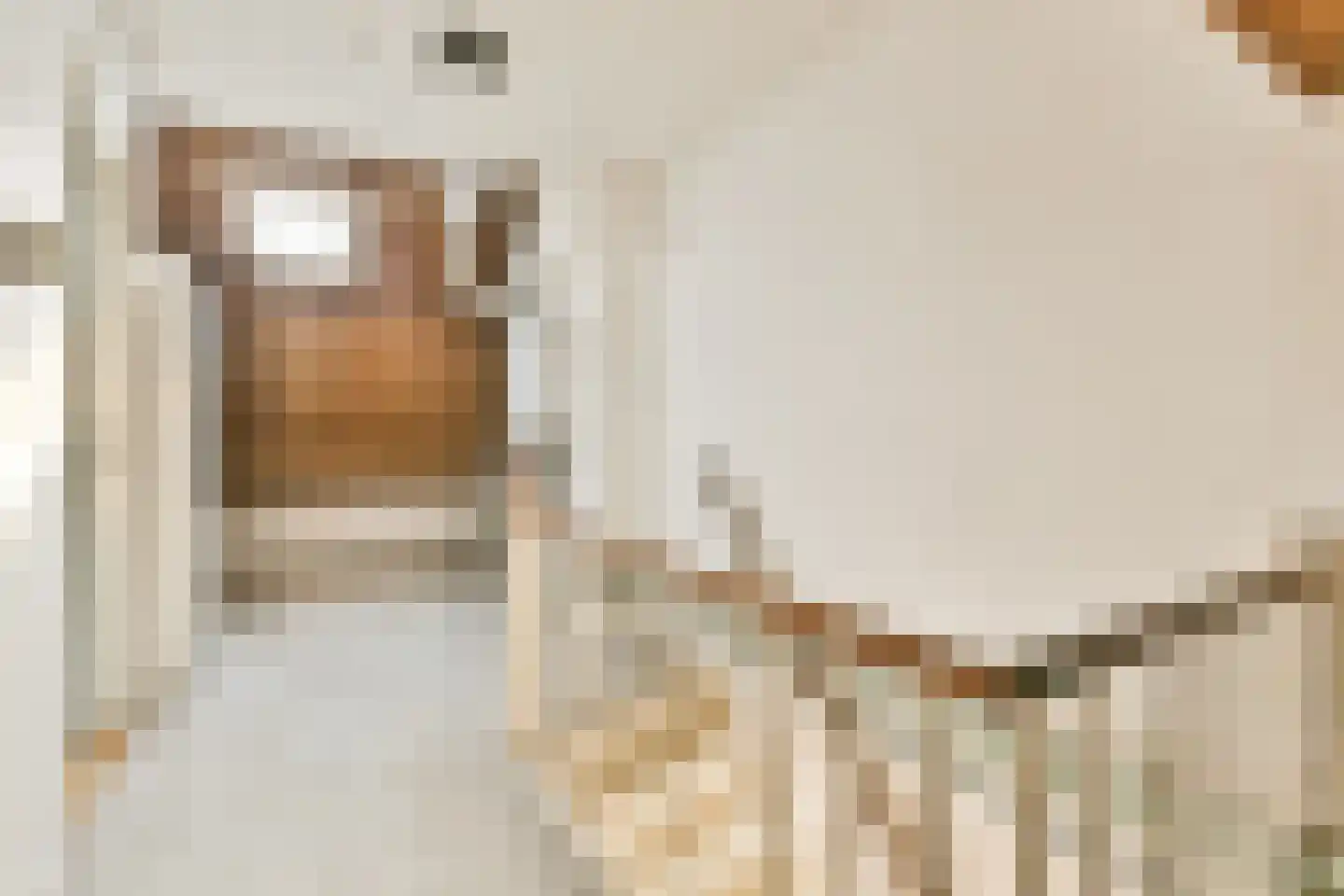 Roerdompstraat 12 Leiderdorp thumbnail 19