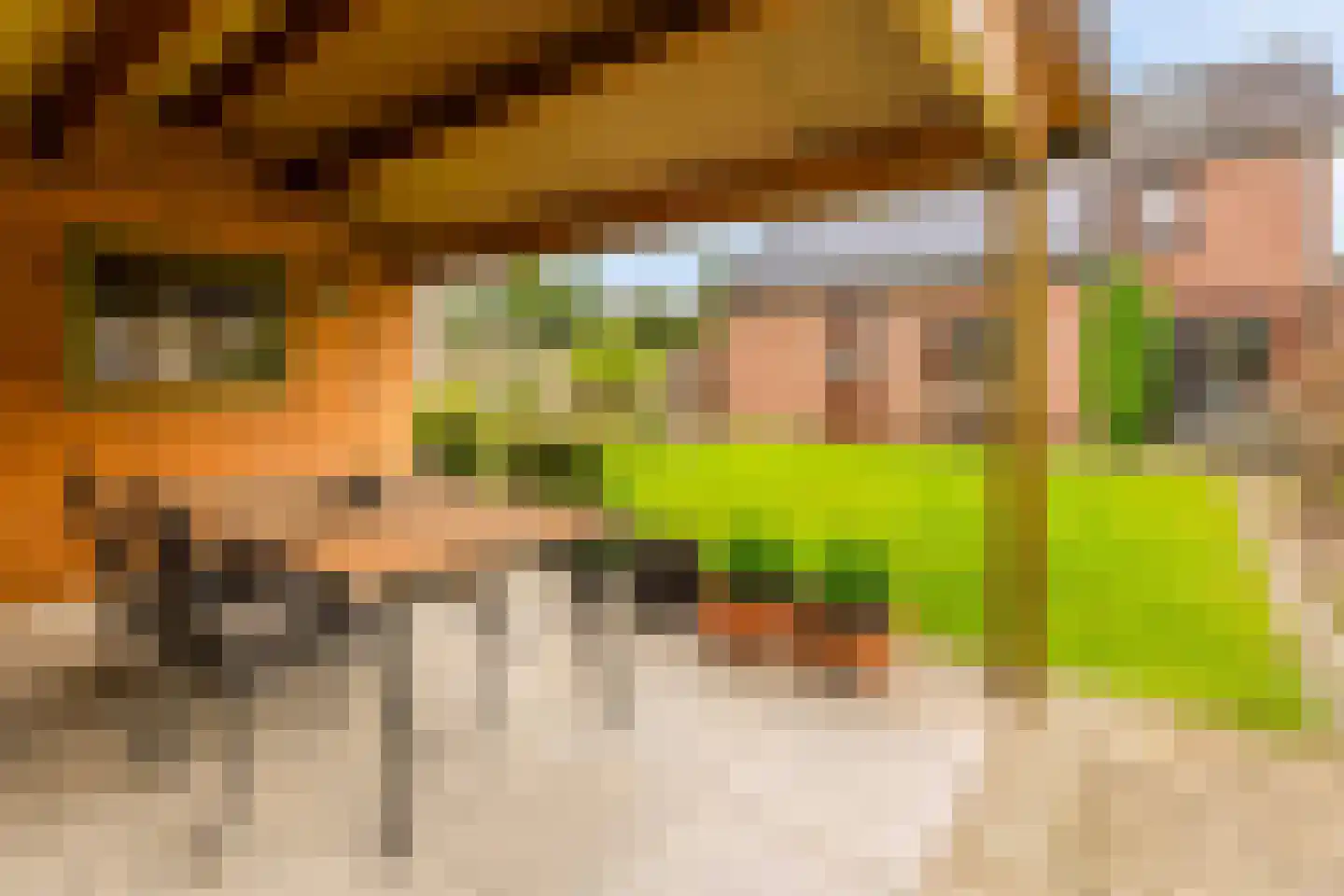Roerdompstraat 13 Velden thumbnail 31