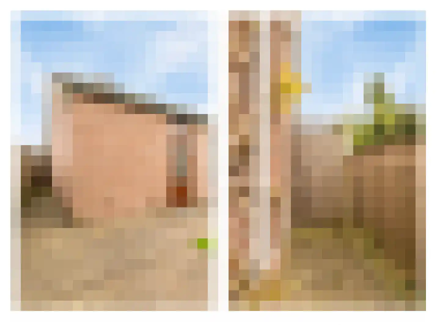 Roerdompstraat 13 Velden thumbnail 33