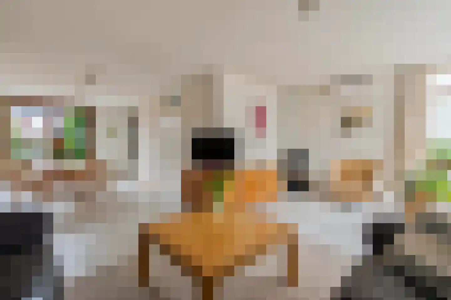 Roerdompstraat 13 Velden thumbnail 6