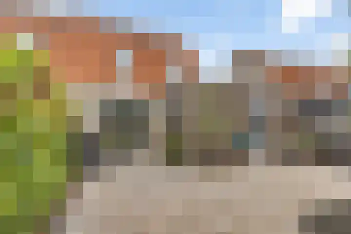 Roerdompstraat 15 Appingedam thumbnail 12