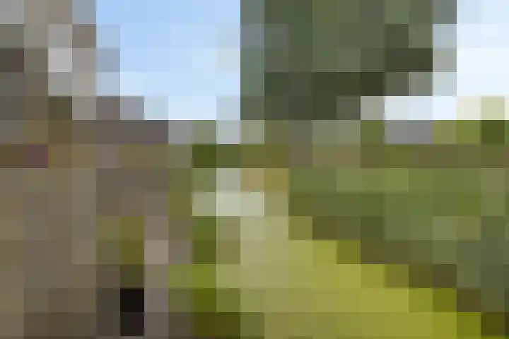 Roerdompstraat 15 Appingedam thumbnail 18