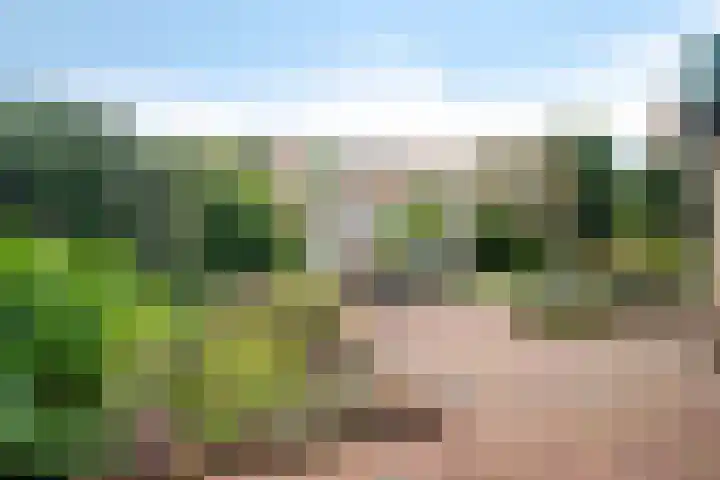 Roerdompstraat 15 Ermelo thumbnail 28