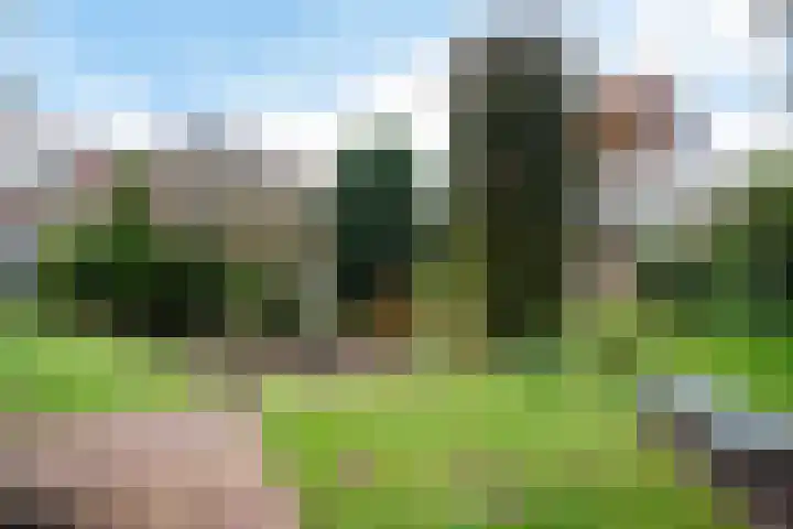 Roerdompstraat 15 Ermelo thumbnail 33