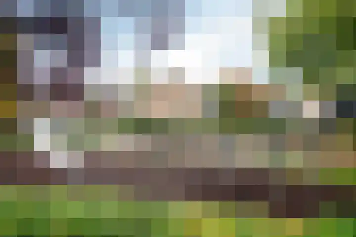 Roerdompstraat 15 Ermelo thumbnail 40
