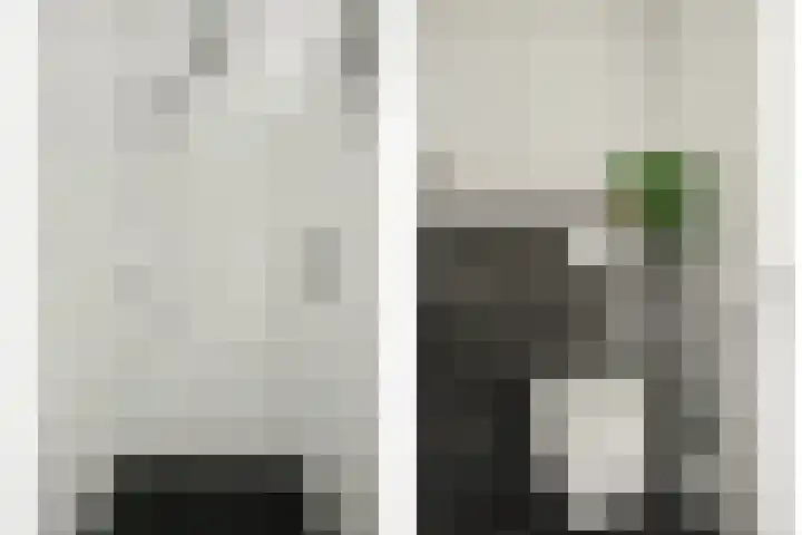 Roerdompstraat 16 Strijen thumbnail 22