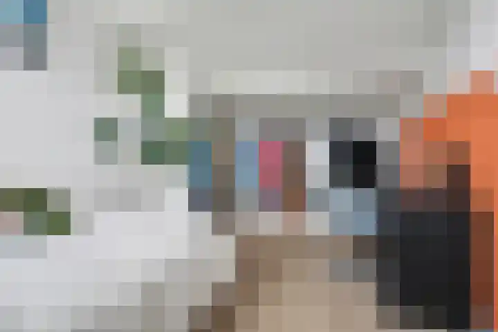 Roerdompstraat 16 Strijen thumbnail 25