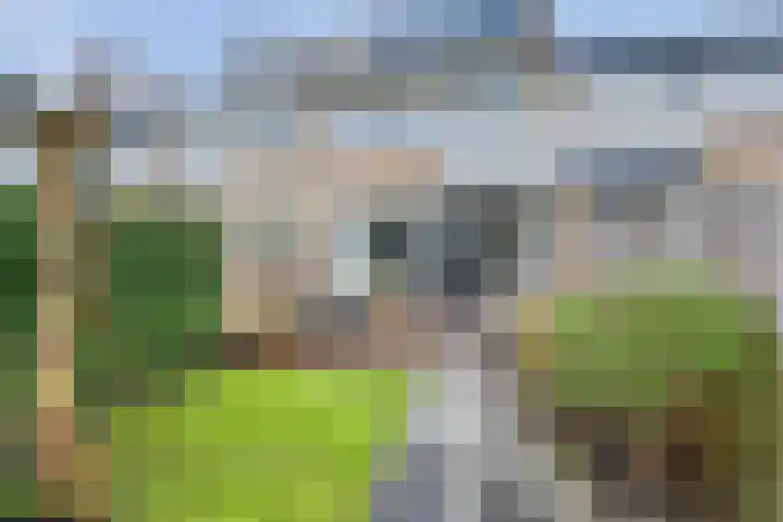 Roerdompstraat 16 Strijen thumbnail 27