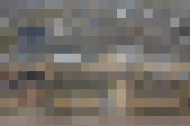 Roerdompstraat 16 Strijen thumbnail 33