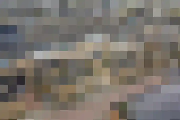 Roerdompstraat 16 Strijen thumbnail 34