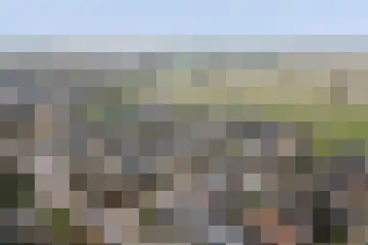 Roerdompstraat 16 Strijen thumbnail 36